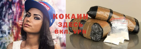 прущая мука Инта