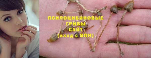 тгк Зеленодольск