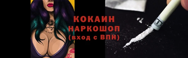 PSILOCYBIN Инсар