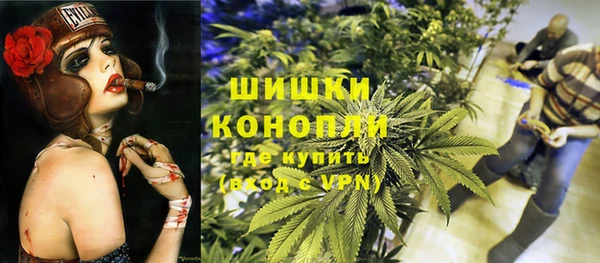прущая мука Инта