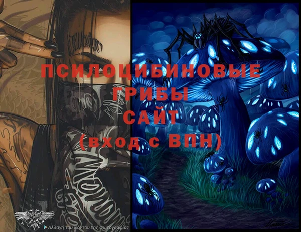 PSILOCYBIN Инсар