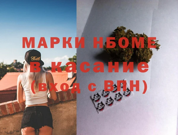 PSILOCYBIN Инсар
