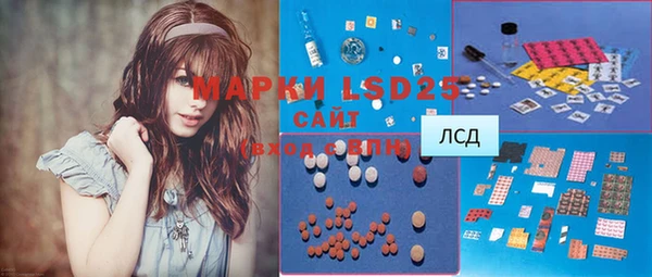 PSILOCYBIN Инсар